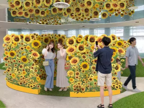 「サンシャイン60展望台 てんぼうパーク、日本の夏を満喫できる「てんぼうパークの夏景色」7月9日より開催！」の画像