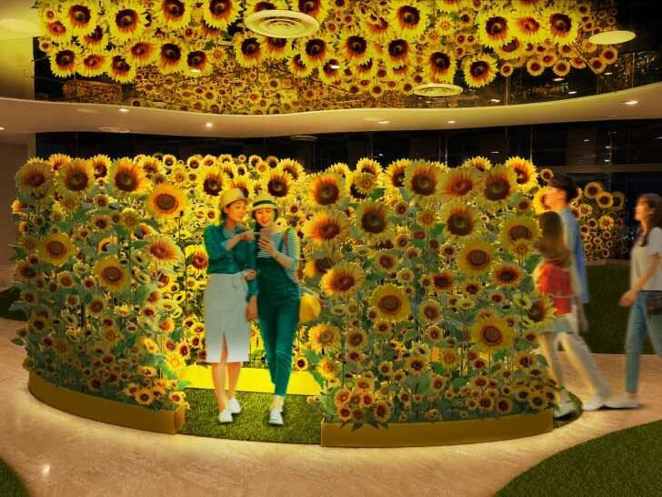 サンシャイン60展望台 てんぼうパーク、日本の夏を満喫できる「てんぼうパークの夏景色」7月9日より開催！