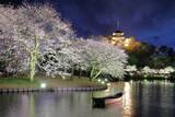 「横浜・三溪園、250本の桜が咲き誇る「桜ライトアップ」が3月27日より開催！」の画像1