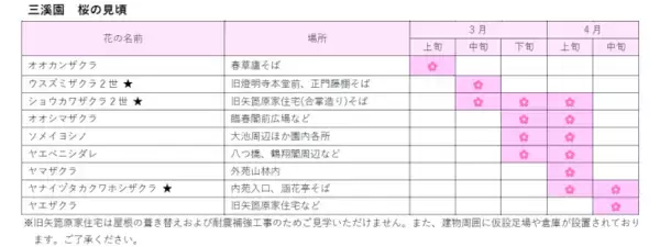 「横浜・三溪園、250本の桜が咲き誇る「桜ライトアップ」が3月27日より開催！」の画像