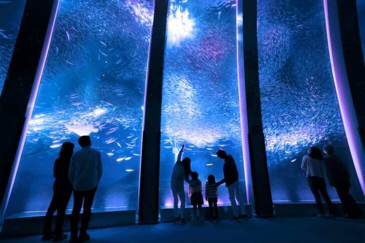 横浜・八景島シーパラダイス、県内最大級２万株のあじさいが咲き誇る「第25回八景島あじさい祭」6月7日より開催！