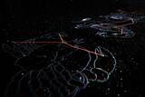 「横浜赤レンガ倉庫で無数の星と壮大な宇宙を体感できるのアートプラネタリウム「星とたたずむ」7月26日より開催！」の画像5