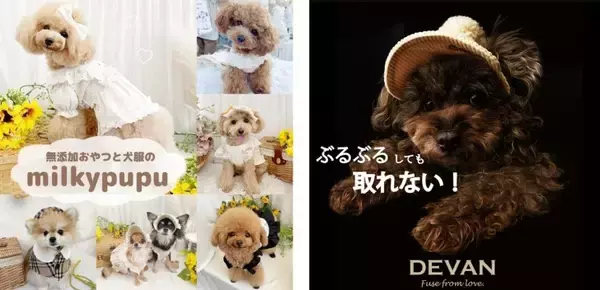 「横浜赤レンガ倉庫でワンちゃんと楽しめるドッグイベント「赤レンガでわんさんぽ」が3月19日～22日に開催！」の画像