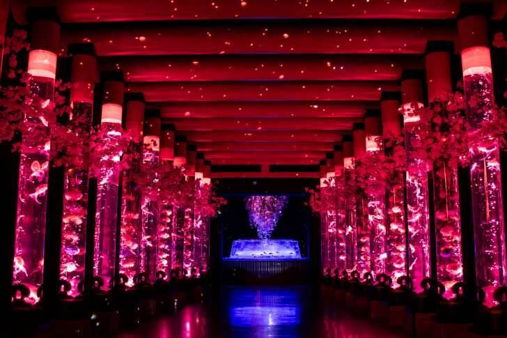 アートアクアリウム美術館 GINZA、金魚と桜が織りなす春景色を楽しめる「めっちゃ桜2026」が開催スタート！