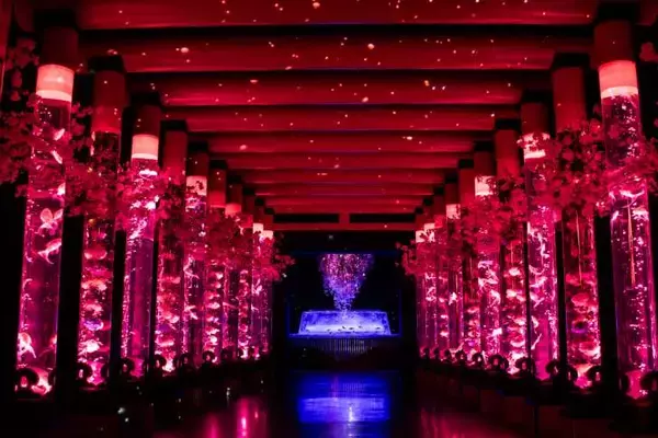 「アートアクアリウム美術館 GINZA、金魚と桜が織りなす春景色を楽しめる「めっちゃ桜2026」が開催スタート！」の画像