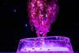 「アートアクアリウム美術館 GINZA、金魚と桜が織りなす春景色を楽しめる「めっちゃ桜2026」が開催スタート！」の画像3