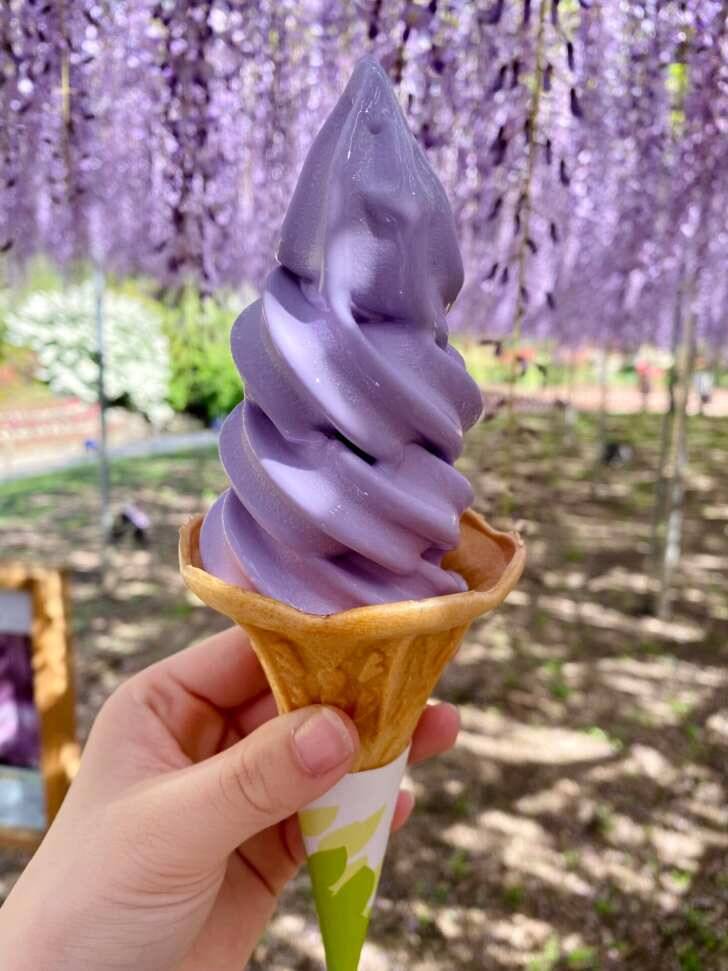 栃木・あしかがフラワーパーク、350本以上の藤の花が咲き誇る「ふじのはな物語～大藤まつり2026～」が4月11日より開催！