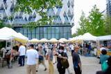 「東京・中野で台湾の魅力をまるごと体験できる「台湾文化祭2026」が6月26日～28日に開催！」の画像2