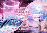 「マクセル アクアパーク品川、海の生きものたちと幻想的なお花見を楽しめる「SAKURA AQUARIUM by NAKED」3月4日より開催！」の画像1