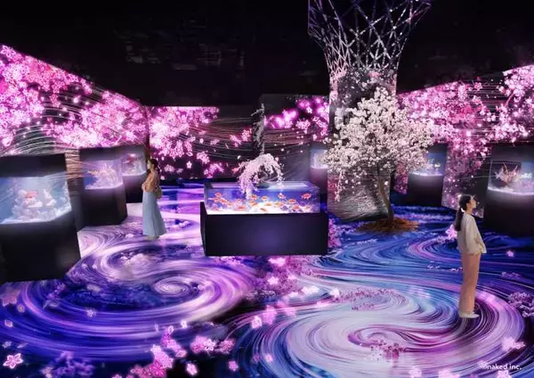 「マクセル アクアパーク品川、海の生きものたちと幻想的なお花見を楽しめる「SAKURA AQUARIUM by NAKED」3月4日より開催！」の画像