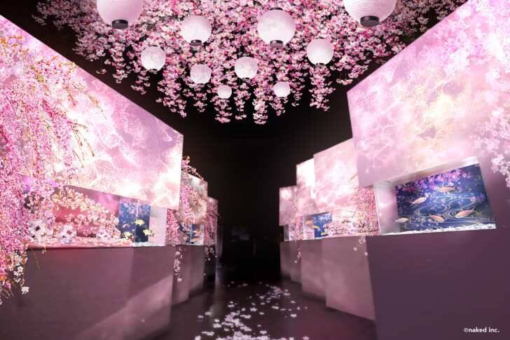マクセル アクアパーク品川、海の生きものたちと幻想的なお花見を楽しめる「SAKURA AQUARIUM by NAKED」3月4日より開催！