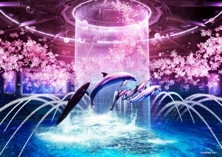 マクセル アクアパーク品川、海の生きものたちと幻想的なお花見を楽しめる「SAKURA AQUARIUM by NAKED」3月4日より開催！