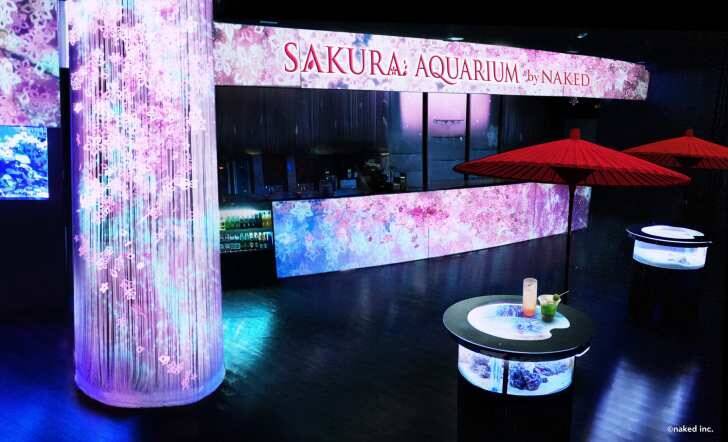 マクセル アクアパーク品川、海の生きものたちと幻想的なお花見を楽しめる「SAKURA AQUARIUM by NAKED」3月4日より開催！