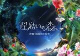「コニカミノルタプラネタリウム、夏の星座や天の川が輝く特別映像「七夕ウェルカムドーム」6月6日より開催！」の画像5