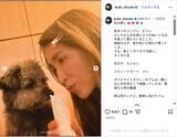 「工藤静香、「私の癒し」愛犬たちの最新ショット公開！「幸せな世界」「カワイイがいっぱい」」の画像1