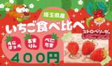 「埼玉県・遊園地むさしの村、いちごをたっぷり楽しめるイベント「ストロベリーゼのいちごフェス」1月17日より開催！」の画像3