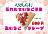 「埼玉県・遊園地むさしの村、いちごをたっぷり楽しめるイベント「ストロベリーゼのいちごフェス」1月17日より開催！」の画像4