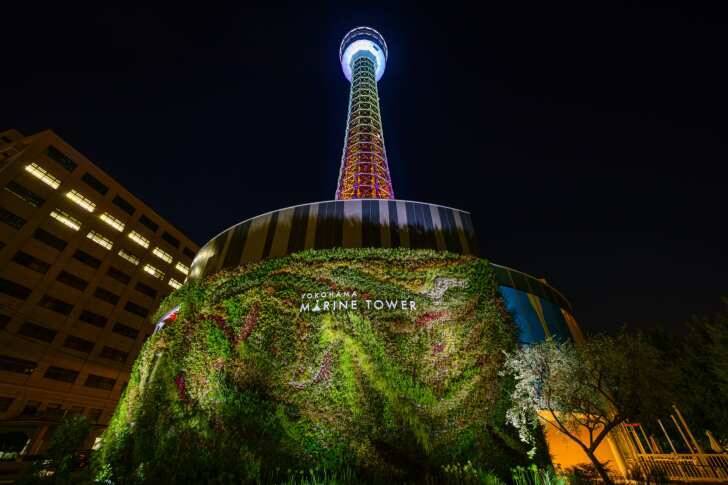 横浜・山下公園で初となる大規模な「七夕祭り」7月5日･6日に開催！初スカイランタンや天の川プロジェクションマッピングも