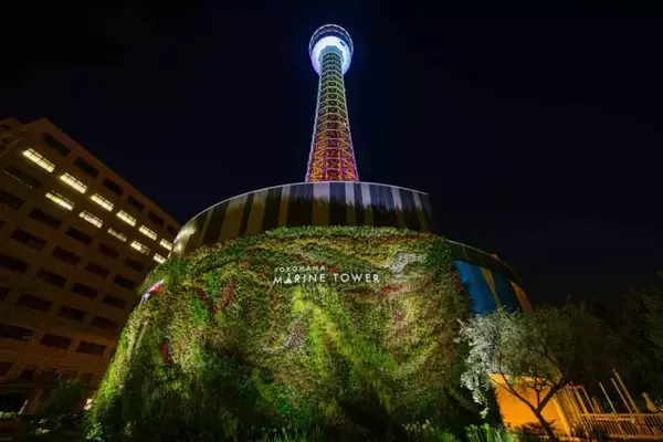 「横浜・山下公園で初となる大規模な「七夕祭り」7月5日･6日に開催！初スカイランタンや天の川プロジェクションマッピングも」の画像