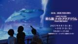 「沖縄美ら海水族館、幻想的な夜の水族館を楽しめる「美ら海ナイトアクアリウム」8月1日より開催！」の画像1