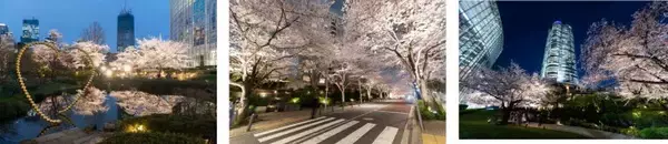 「「六本木ヒルズ 春まつり 2026」が4月3日～5日に開催！春の訪れと日本の伝統文化を五感で楽しめる」の画像