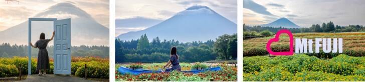 富士本栖湖リゾート、標高1,000mに8万株の花々が咲き誇る！「虹の花まつり2026」が8月29日より開催