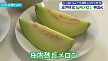 夏の味覚 庄内メロン初出荷 関東に向けて出発