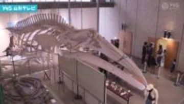 文化の日　県立博物館が無料開放