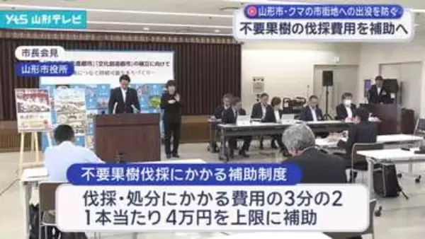 相次ぐ市街地へのクマの出没を防ぐため、山形市が不要果樹の伐採費用を補助へ