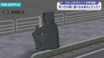 山形市で目撃のクマ 耳付きの黒い着ぐるみ姿の人か