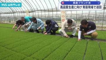 県産ブランド米　高品質生産に向け育苗現場で巡回