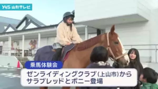 今年の干支「午」にちなんだ乗馬体験イベント