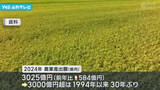 「２０２４年の県農業産出額　３０２５億円」の画像1