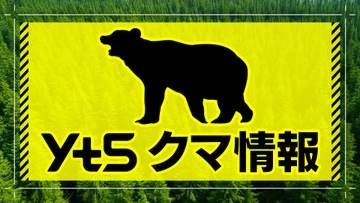 山菜採りの男性 クマに襲われけが