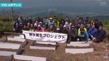 樹氷を未来へ！蔵王でアオモリトドマツ 種まき
