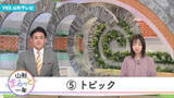 「新幹線運休、コメ価格高騰、そして人口減 県民生活を揺るがした2025年の主要ニュース」の画像1