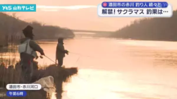 酒田市の赤川 解禁！ サクラマス 釣果は