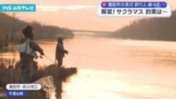 酒田市の赤川 解禁！ サクラマス 釣果は