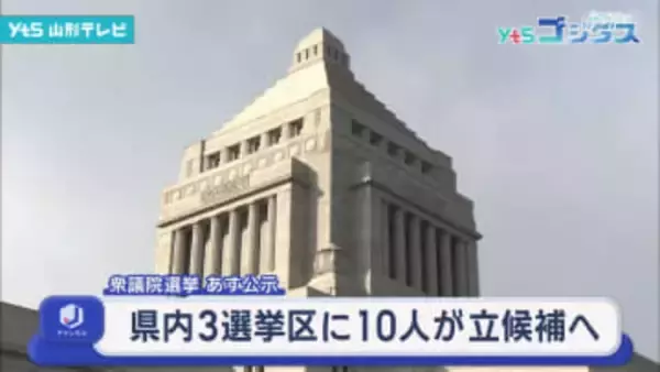 衆議院選挙あす公示 県内3選挙区に10人立候補へ