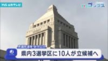 衆議院選挙あす公示 県内3選挙区に10人立候補へ