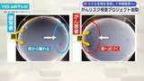 「線虫を活用して早期発見へ がんリスク検査プロジェクト始動」の画像1