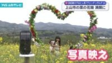 上山市の菜の花畑が見頃に SNS映えすると人気「ヴェンテンガルテン」