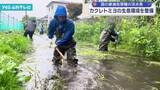 「国の絶滅危惧種に指定されている淡水魚カクレトミヨの生息環境を整備　東根市小見川」の画像1