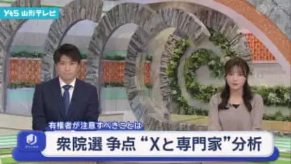 衆院選 争点 「Xと専門家」分析