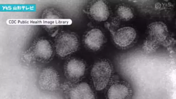 インフルエンザ変異株「サブクレードK」