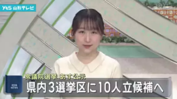 衆院選あす公示 県内3選挙区に10人立候補へ