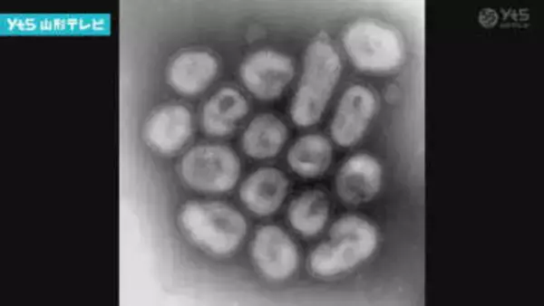 県内インフルエンザ、B型流行で警報レベル継続