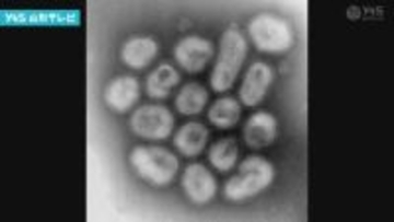 県内インフルエンザ、B型流行で警報レベル継続