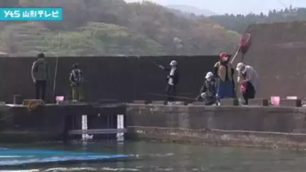 ”海の釣り堀” 今シーズンの営業スタート 鶴岡市由良・白山島