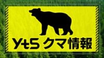 山形県庁前の県民緑地でクマのフンが見つかる
